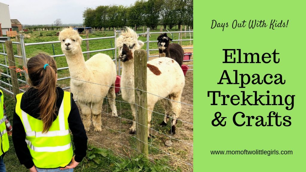 elmet alpacas review
