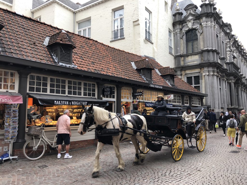 Horses in Bruges