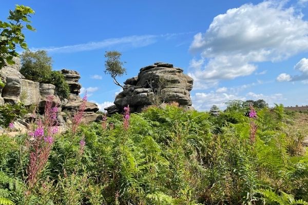 Area of Outstanding Natural Beauty Nidderdale North Yorkshire