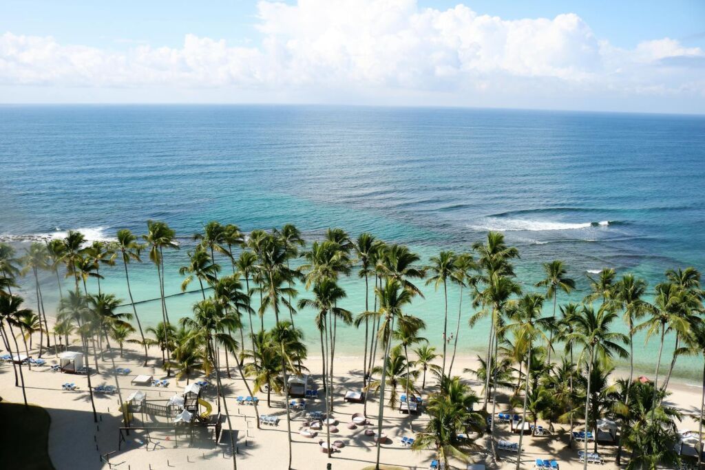 Green Palm Trees Near Body of Water Jamaica