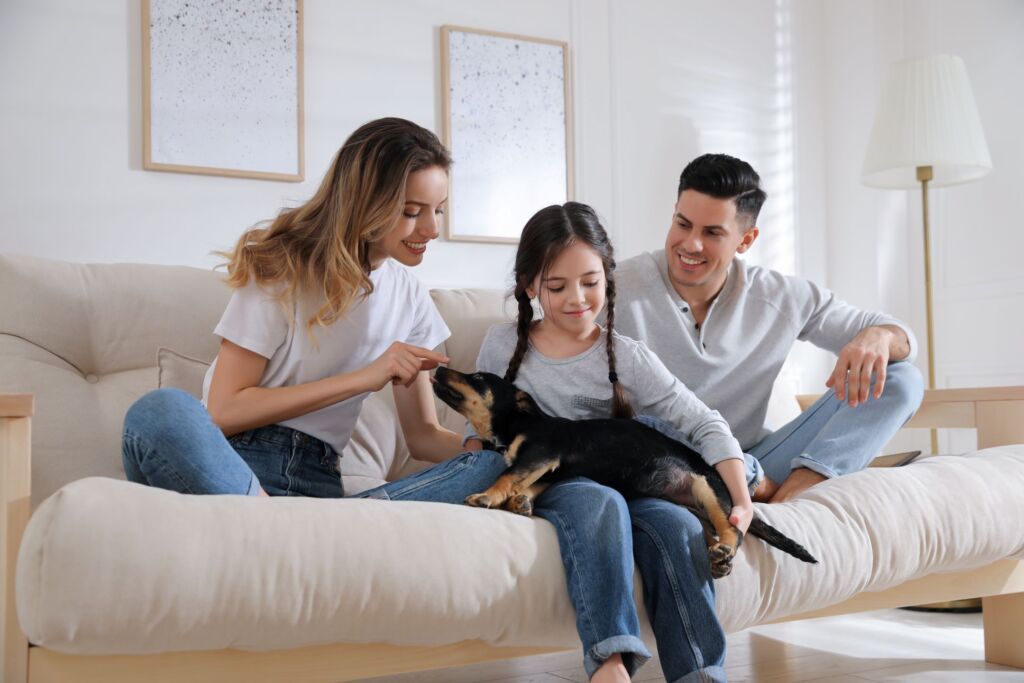 pets and kids