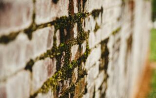 green and white brick wall